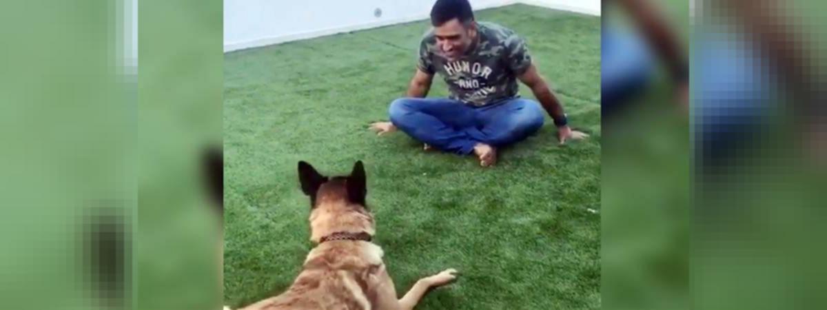 Wow Video Of Ms Dhoni Playing With His Dog Sam Is Just Too Adorable Watch It