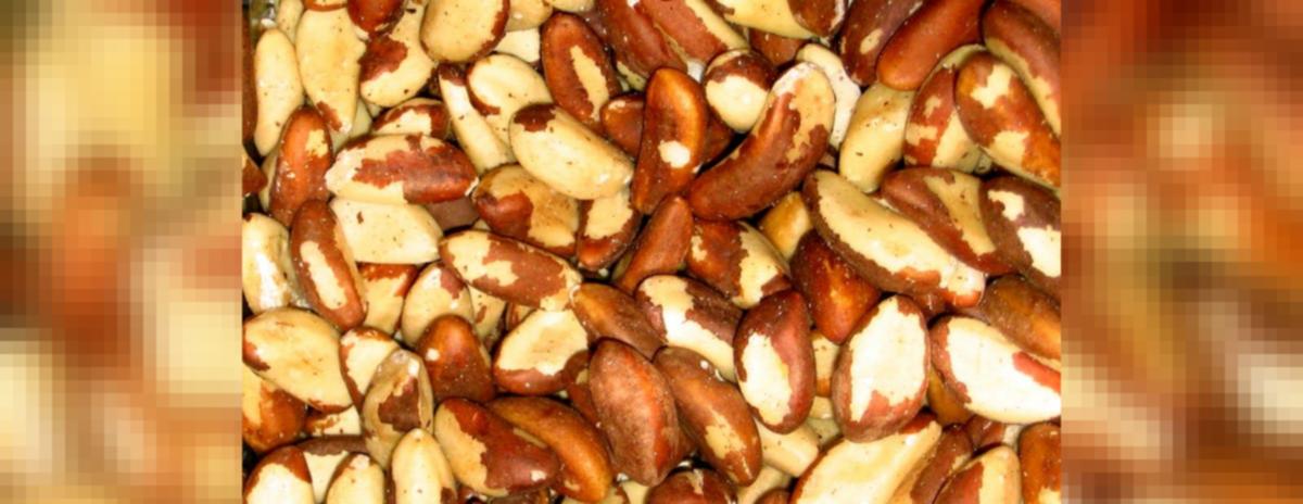 are brazil nuts safe for dogs to eat