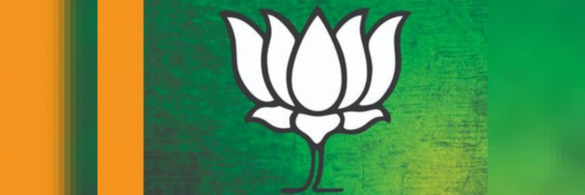 Elections 2019: BJP Swaps Out Saffron for Green in Kashmir Campaign