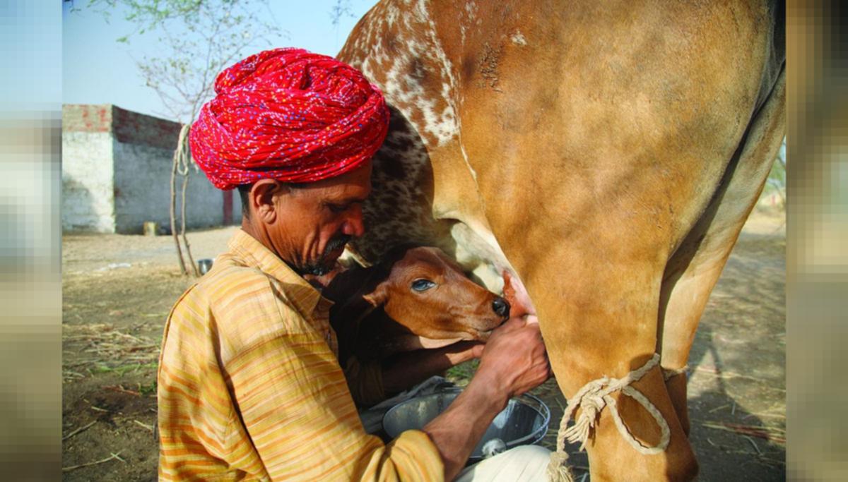 कुदरत ने किया ऐसा करिश्मा जिसे देख गांववालों के होश उड़ गए