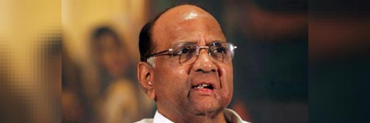 Sharad Pawar Once Again Considers Setting Up An Sit In The Elgar Parishad Case