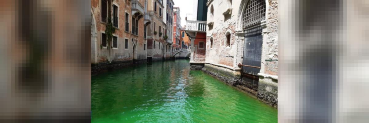 Water in Venice's Grand Canal Turns Green, Probe Ordered