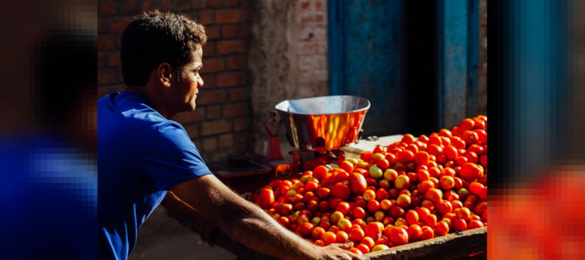 PM Narendra Modi - Rotten Tomatoes