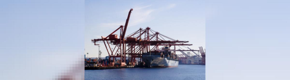 In 10 Years, Total Cargo Handled by Adani Ports Jumped Nearly Fourfold to  337 MT in FY23: Report