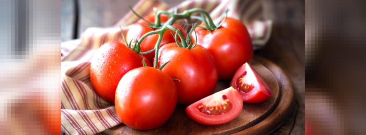 Here is how you can preserve Tomatoes for months | Sangbad Pratidin