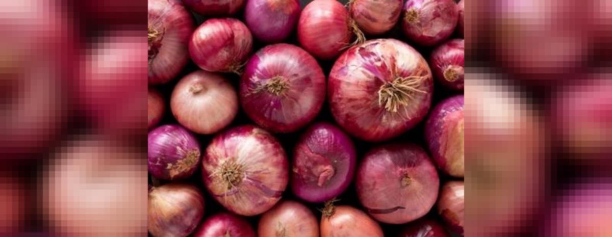 Onion prices will stay depressed till mid-March: Experts | udayavani