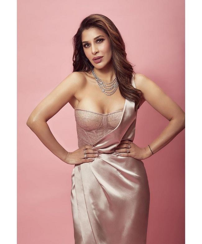 Actress Sophie Choudry Adorable Cliks in Shiny Dress