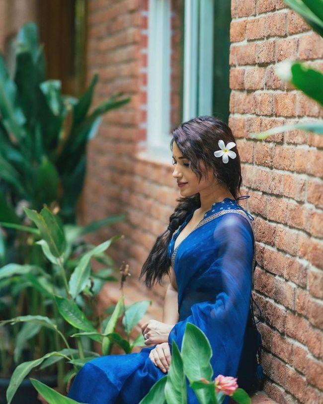 Ruhani Sharma Endearing Pics In Blue Saree