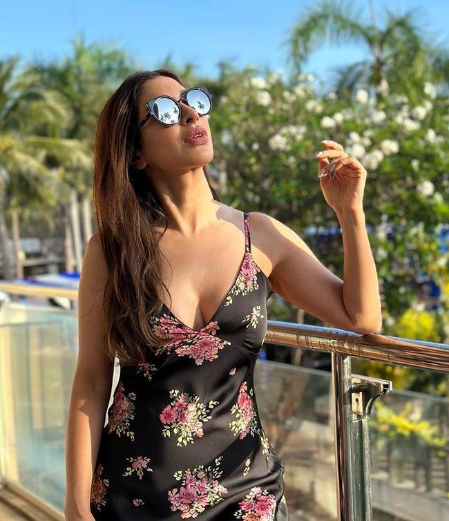 Gorgeous Looks Of Sophie Choudry