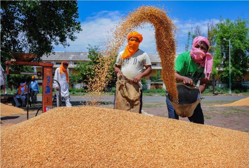 केंद्रीय कैबिनेट ने 'एक राष्ट्र, एक कृषि बाजार'बनाने के लिए अध्यादेश को  मंजूरी दी