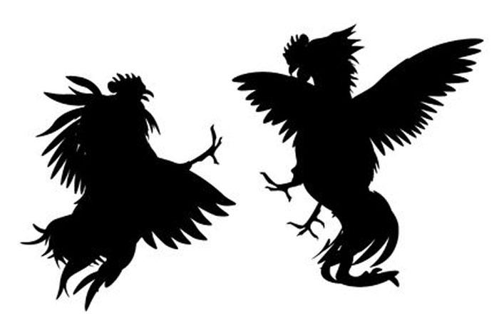 Kodi Pandem Movie Kodi Pandem Movie