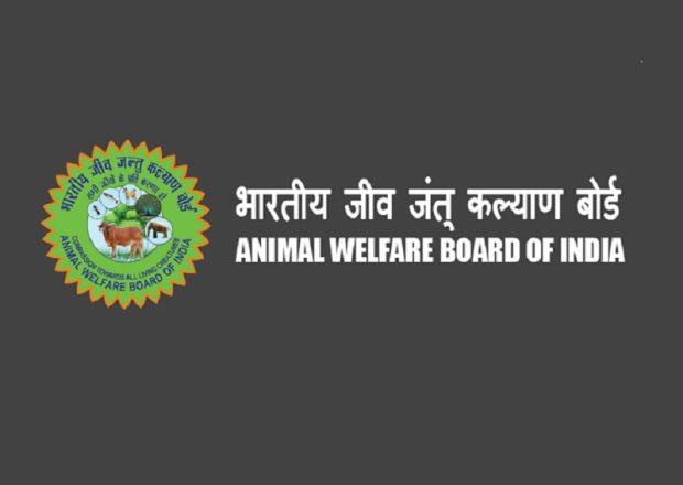 Animal Welfare Board withdraws appeal to celebrate February 14 as 'Cow Hug  Day' | udayavani