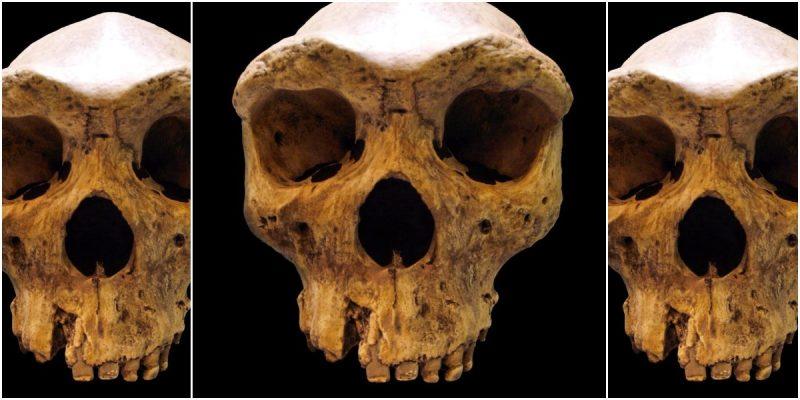 early humans in africa may have