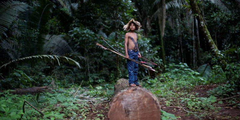 Brazil Probe Ordered Into Amazon Forest Land Put Up For Sale On Facebook Brazil Probe Ordered Into Amazon Forest Land Put Up For Sale On Facebook