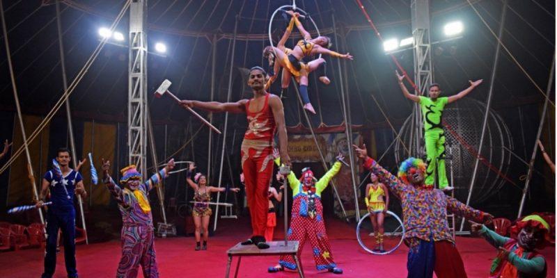 In Photos: The Endangered Performance Art of the Circus