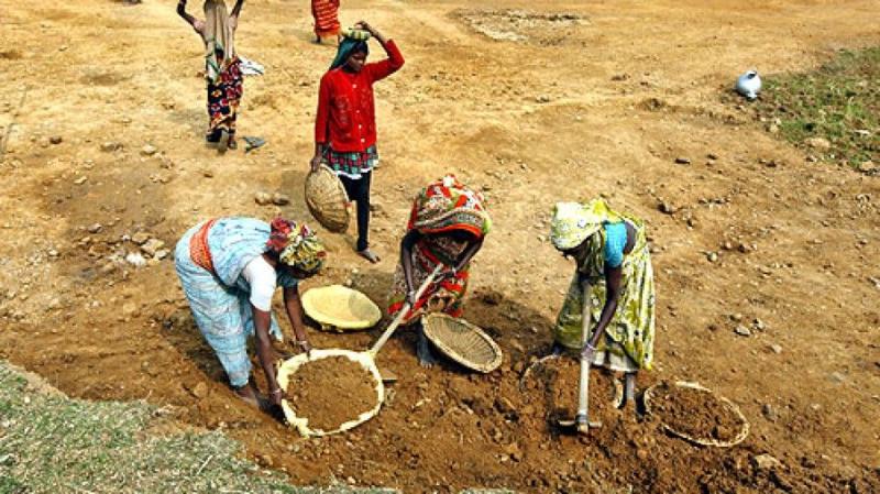हंगर वाच सर्वे: गुजरात में 21% को तो भूखा भी रहना पड़ा
