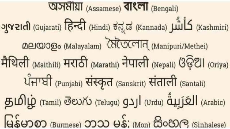 हिन्दी को तीसरी भाषा बनाने के फ़ैसले के ख़िलाफ़ तमिलनाडु