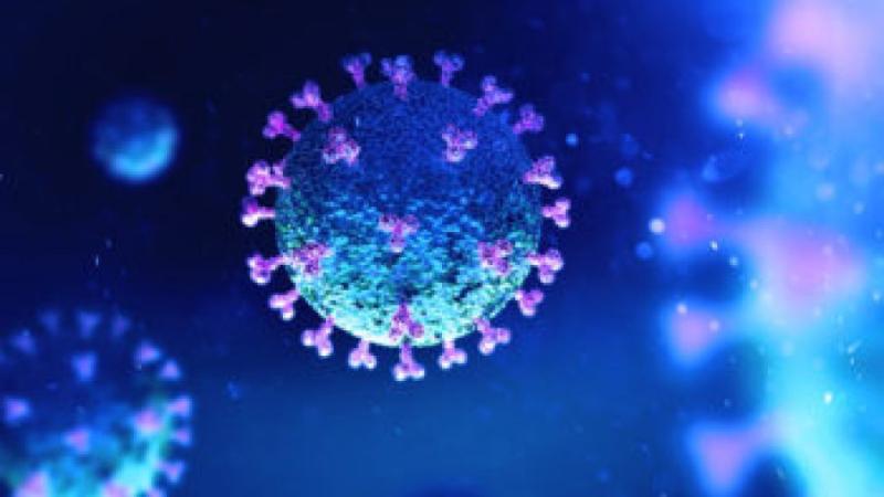 गंगा जल से कोरोना वायरस संक्रमण का इलाज किया जा सकता है?