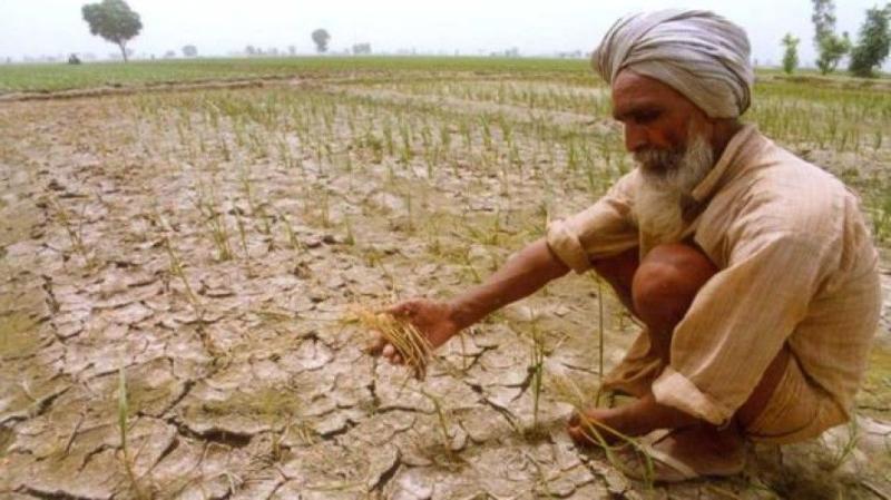 महाराष्ट्र: किसान आत्महत्या करते रहे और नेता सत्ता के लिए लड़ते रहे