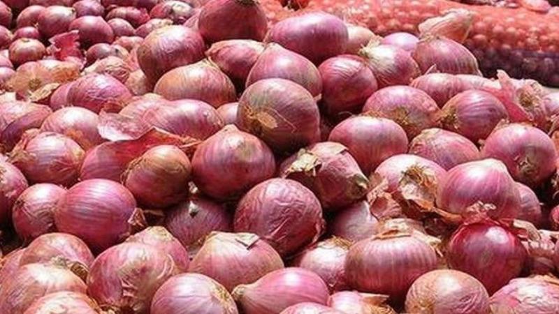 महाराष्ट्र: प्याज के निर्यात पर पाबंदी के ख़िलाफ़ सड़क पर उतरे किसान 