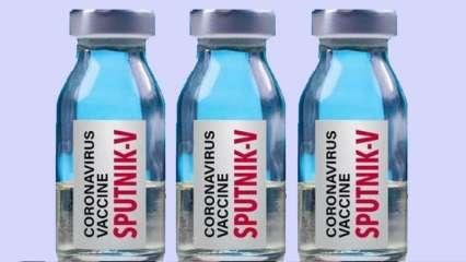 रूस की स्पूतनिक-V वैक्सीन के भारत में इस्तेमाल की सिफ़ारिश
