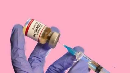 टीकाकरण: यूपी को 9 तो बिहार को 8 गुना बढ़ानी होगी रफ़्तार 