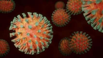 वैक्सीन से निष्प्रभावी नहीं होगा ओमिक्रॉन वायरस?