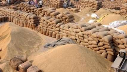 भारत ने गेहूं के निर्यात पर तुरंत प्रभाव से लगाया प्रतिबंध 