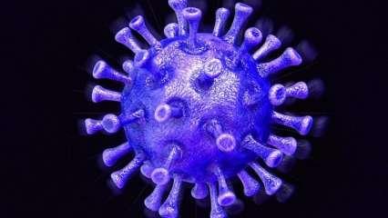 कोरोना वायरस लैब से लीक हुआ था या नहीं? जानिए क्या है नये शोध में