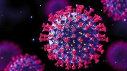 कोरोना मानव-निर्मित वायरस, वुहान लैब से लीक हुआ: वैज्ञानिक