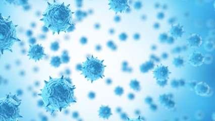 एच3एन2: केंद्र की सख्त निगरानी, जानें वायरस कितना घातक