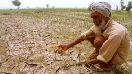 राजस्थान: कर्ज नहीं चुकाया, 4 साल में 19 हजार किसानों की जमीन कुर्क
