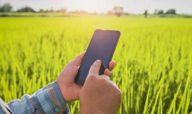 ಮೊಬೈಲ್ ಆ್ಯಪ್ ಬಳಸಿ ರೈತರಿಂದಲೇ ಬೆಳೆ ಸಮೀಕ್ಷೆ | udayavani