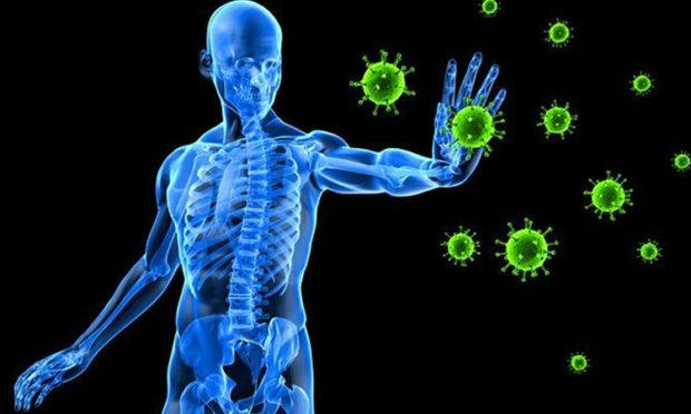 ರೋಗ ನಿರೋಧಕ ಶಕ್ತಿ ಹೆಚ್ಚಿಸಿಕೊಳ್ಳಿ… | udayavani