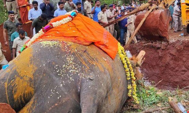 Elephnat Arjuna: ಅರ್ಜುನ ಆನೆ ಮುಂದೆ ಕಾವಾಡಿಗರ ಕಣ್ಣೀರು | udayavani