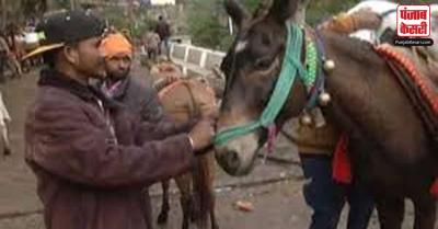 उच्च न्यायालय ने उत्तराखंड सरकार को चारधाम मार्ग पर घोडे़-खच्चरों की मौत पर नोटिस जारी किया
