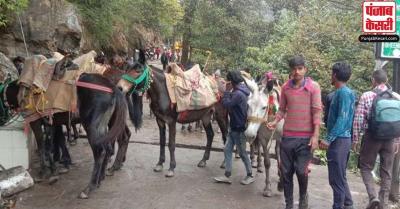उत्तराखंड : चारधाम यात्रा के दौरान घोड़े-खच्चरों की मौत पर HC ने धामी सरकार से मांगा जवाब