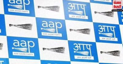 AAP ने नीतीश कुमार को प्रधानमंत्री उम्मीदवार के तौर पर पेश करने को लेकर कहा - पार्टी किसी गठबंधन का हिस्सा नहीं