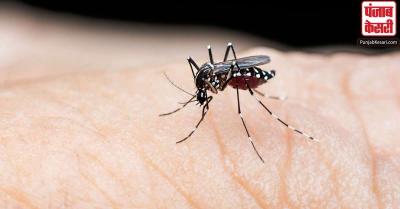 दिल्ली में बढ़ रहा है डेंगू का खतरा, एक हफ्ते में 412 मामले हुए दर्ज