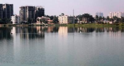 ബം​ഗ​ളൂ​രു​വി​ലെ 53 ത​ടാ​ക​ങ്ങ​ൾ  മ​ലി​ന​മെ​ന്ന് റി​പ്പോ​ർ​ട്ട്