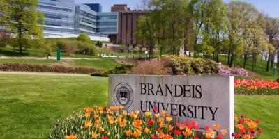 In A First Us S Brandeis University Prohibits Caste