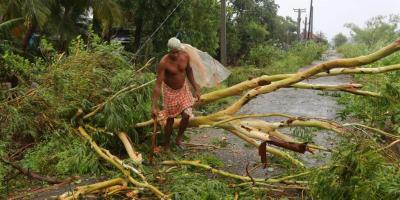 After Cyclone Fani Wreaks Havoc, Economic Disruption Upends Lives in Odisha