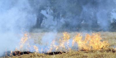 Paddy stubble set on fire. Photo: Flickr/CIAT CC BY SA 2.0.