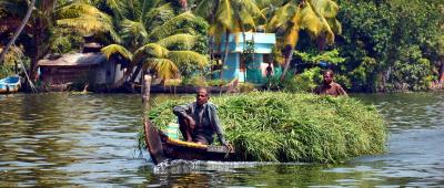 A boat in Kerala's backwaters. Photo: Manfred Sommer/Flickr, CC BY 2.0