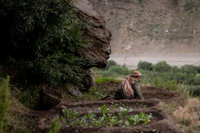 Woman working in the farm at Zanskar in Jammu and Kashmir. Photo: sandeepachetan/Flickr CC 2.0