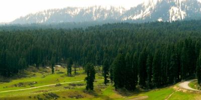 Forests of Doodhpathri, Jammu and Kashmir. Photo: R-yn/CC BY-SA 4.0