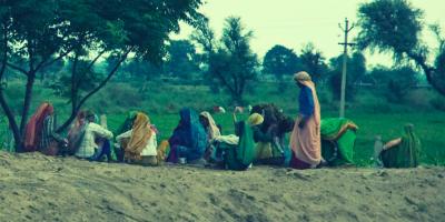 Representative image of agricultural labourers. Photo: XJ/Flickr (CC BY-NC-ND 2.0)