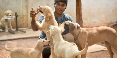 Representative image of a man with dogs. Photo: Thomson Reuters Foundation/Rakesh Nair