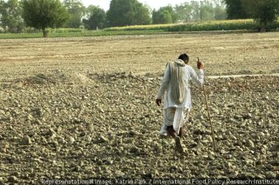 Indebtedness is one of the primary reasons for farmers' suicide. Representational image. Photo: PTI