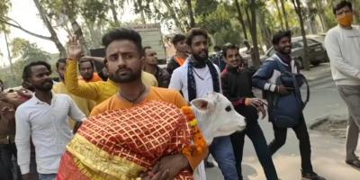 Members of Hindutva groups, carrying a calf in their arms, march to the district magistrate's office to protest the transfer of Loni SHO Rajendra Tyagi for his involvement in the 'encounter' where seven Muslim men were shot. Video screengrab.